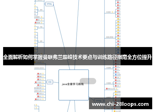 全面解析如何掌握曼联弗兰巅峰技术要点与训练路径指南全方位提升