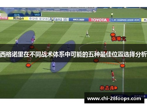 西格诺里在不同战术体系中可能的五种最佳位置选择分析